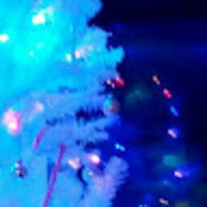 Meet your Posher, Dominique